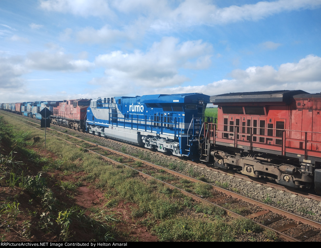 RUMO 9598